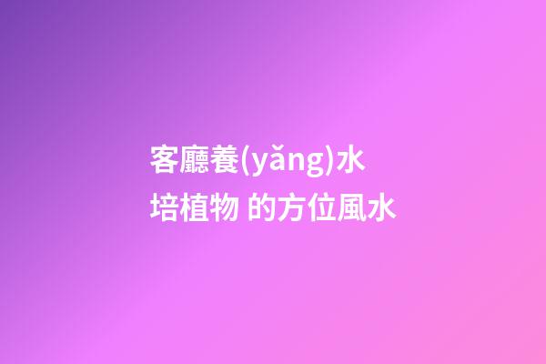 客廳養(yǎng)水培植物 的方位風水